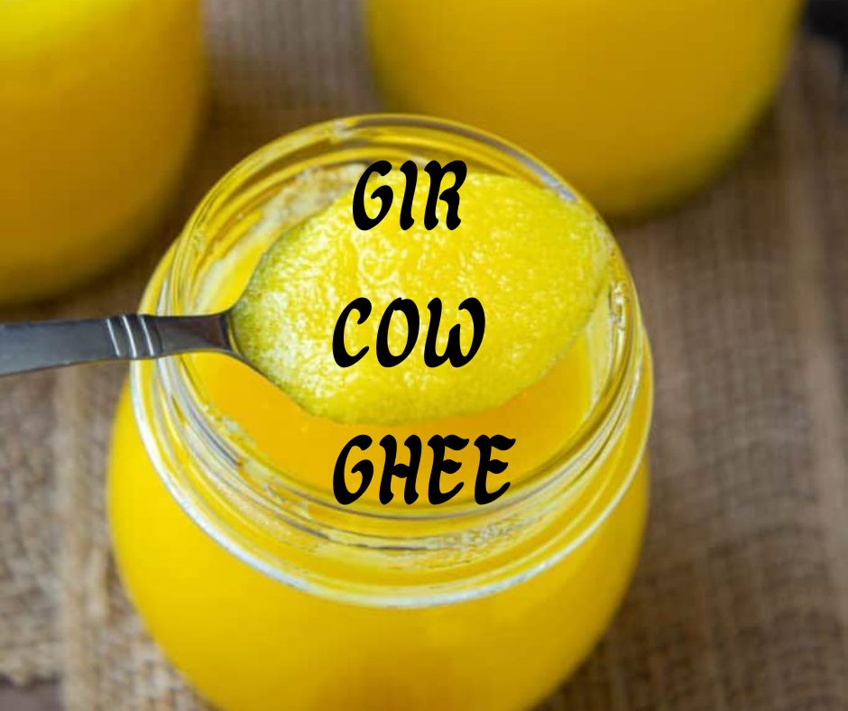 Gir Cow Ghee (A2 Bilona) – Pure Desi Ghee from Indigenous Gir Cows (गिर गायचे तुप)