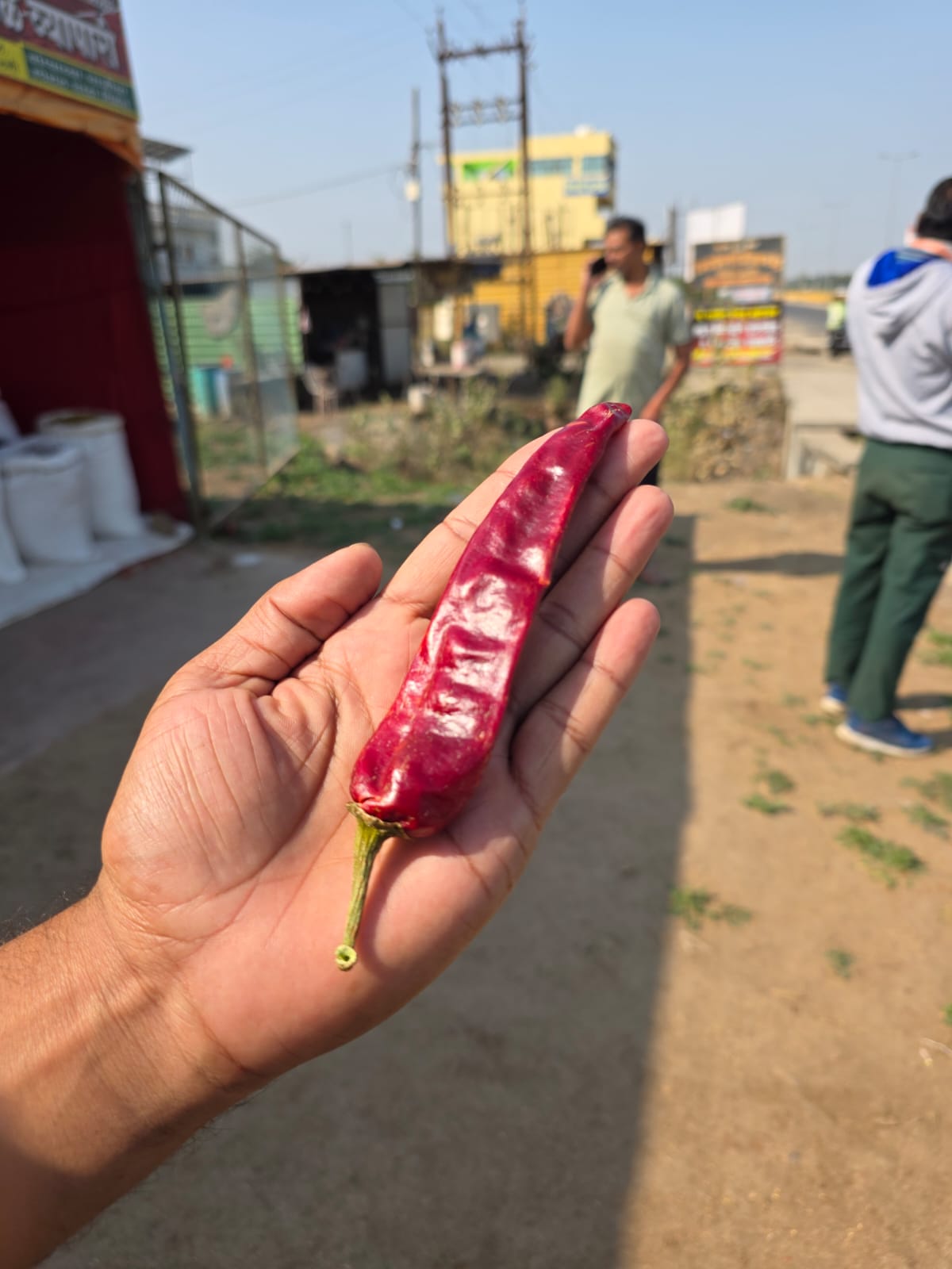 Red Chilli Powder 200gm - Pure Indian Spice | Shinde's Kitchen"