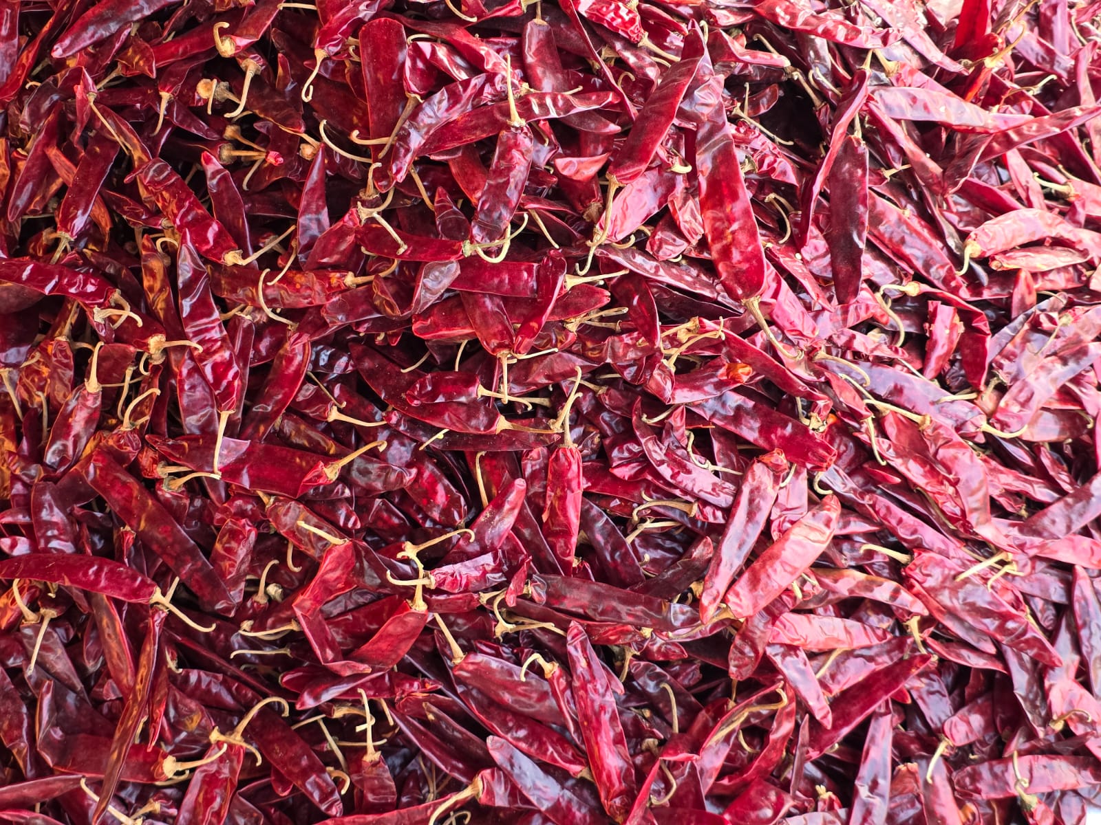 Red Chilli Powder 200gm - Pure Indian Spice | Shinde's Kitchen"